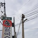 제일손칼국수 - 포항시 북구 새마을로 100-2 | 제일손칼국수