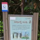 새동안길 이미지