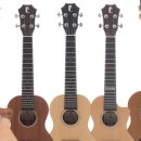 반려악기 우쿨렐레 이미지