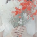 이엔컴퍼니