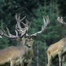 유정 농업회사법인 주식회사 이미지