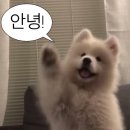 세븐일레븐 대전갈마원룸점 | [KNF] 2024년 하반기 한전원자력연료 인턴 수료 후기