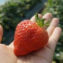 이천두농장 이미지