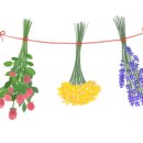 아지트 실과 바늘 이미지