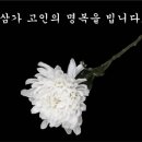 새하늘어린이집 이미지