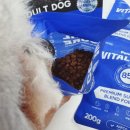 신명메디칼 | 강아지 알러지 눈물 고민 종결 사료 맛집 , 페노비스 바이탈코어 어덜트