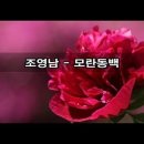 모란 이미지