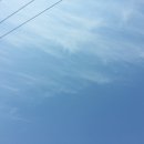 오늘같이좋은날 - 원주시 | 오늘같이좋은날