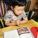 인문학으로 읽는 천자문 이미지