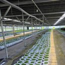 들꽃나라농장 이미지