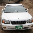 영 튜닝카 이미지