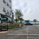 올리브coffee 네이버블로그