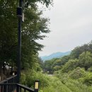 자연예감