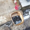 괴정2동-5 이미지