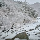 별장대게