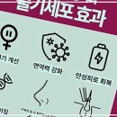 아너스메디컬 | 신사역 귀필러, 젊음의 비밀을 찾아서! 줄기세포주사 아너스티성형외과 후기