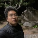 신효동-15 이미지