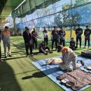 남성생활교육 이미지