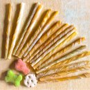 건강한 강아지 이미지