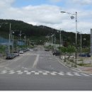 생명과학(A) 이미지