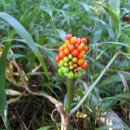 석양경로당 이미지