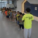 금강태권도 효교육관 이미지