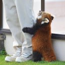 서초대로30길 27-17_ | 키이스케이프 후즈데어 투투 극쫄의 3인팟 탈출 투투 공포도 후기