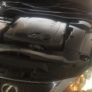 신성모터스 이미지