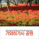 ﻿9월29(금)~4[추석연휴]돗토리&아다치+@보랏빛투어 이미지