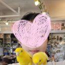 패럿