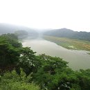 청산생선국수음식거리 이미지