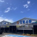 제주 성산 고성오일장 (날짜, 시간, 주차) 정보