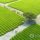 서광리-26 이미지