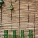 오관포차 이미지