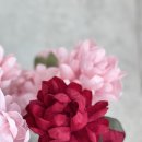 가위이야기