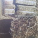 (주)씨앤씨홀스넷 이미지