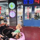 드럭스토어 동행약국 이미지