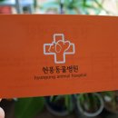 현풍동물병원 이미지