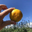 민우농장 이미지