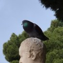 성은교회 들어가는 길목 | [2026-03-04] 유럽여행 후기④│크루즈 여행│그리스 피레우스(아테네) 여행│불닭볶음면을 찾아서