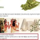 퀸즈헤나방 - 수영구 | 퀸즈헤나방