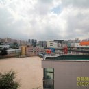 썬펠리스 이미지