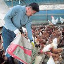 필자농장 이미지