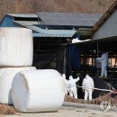 임순석 농장 이미지