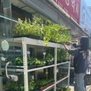 풍원농약사 이미지