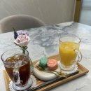 논현2-126 | 아이웨딩/ 빌라드지디 논현 웨딩홀에서 2026견적받고 투어한 후기