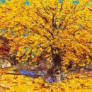 바른프렌즈 이미지