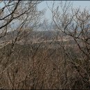 작은복골 이미지