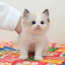 연제구-045 이미지