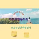 쏘올 공인번역 행정사 이미지